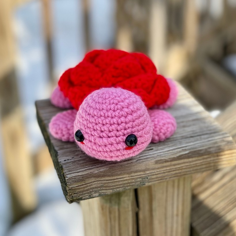 Crochet Turtle Pattern — The Mary Jay