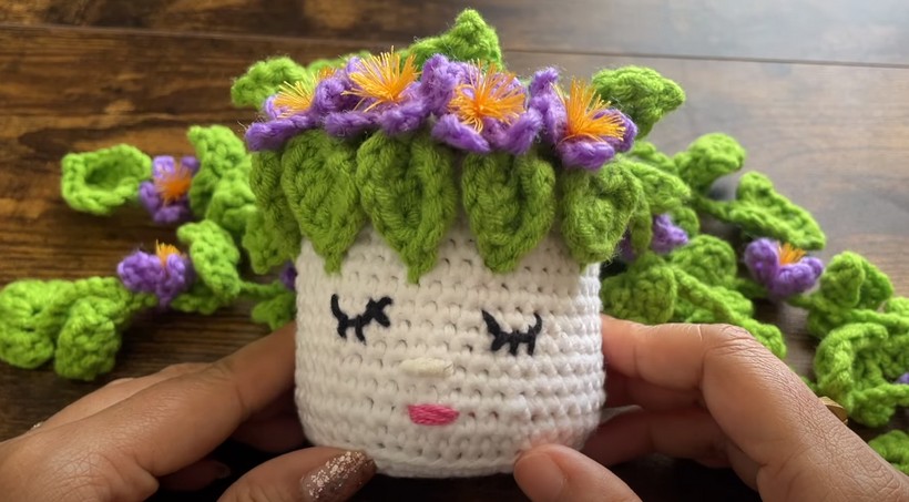 Crochet Face Planter With Vines