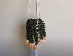 15 Crochet Hanging Plant Patterns + Easy Video Tutorials (latest) - Red ...