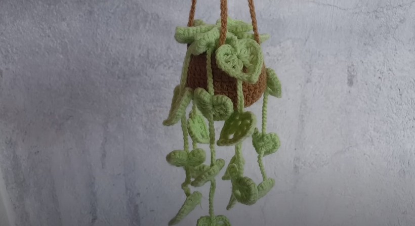 Crochet Monstera Plant Car Hanger