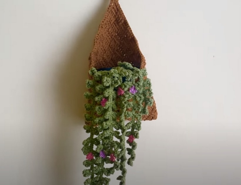 Crochet Plant Hanger