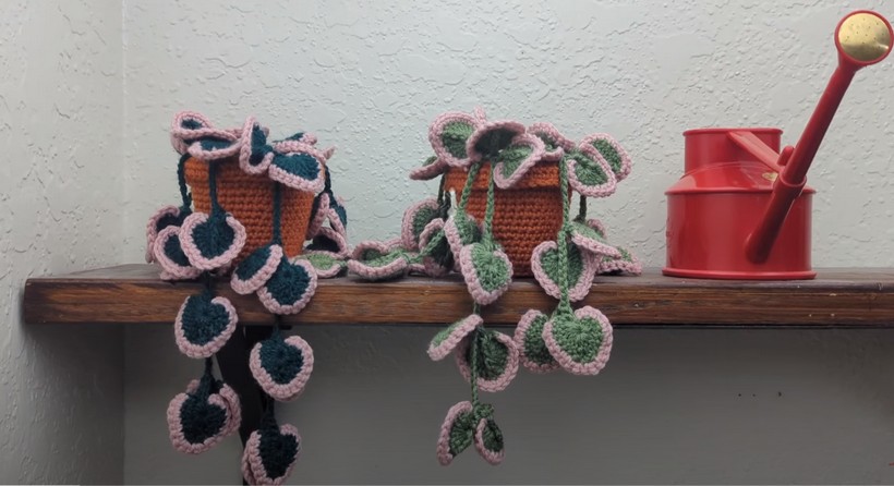 Crochet String Of Hearts Plant