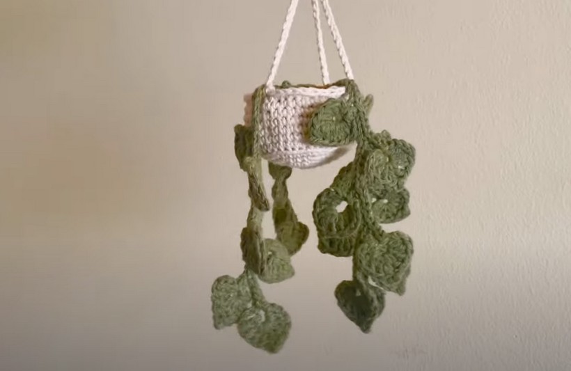 Easy Crochet Mini Hanging Money Plant