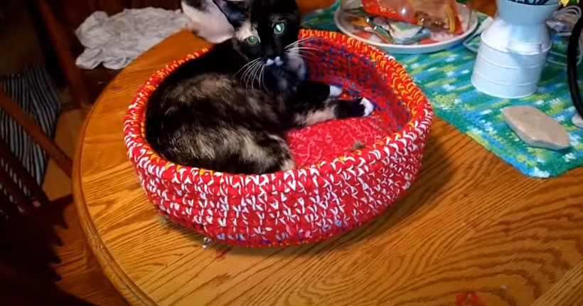 Crochet Cat Bed