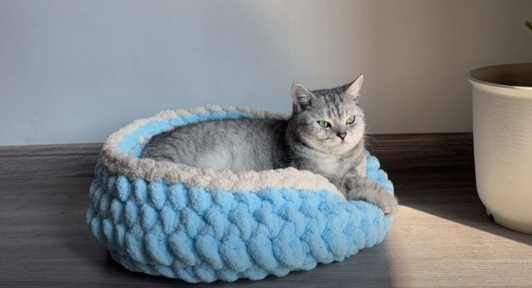 10 Crochet Pet Bed Patterns For Cozy Home Creations