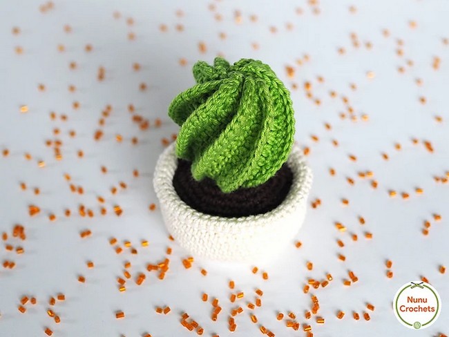 Crochet Spiral Cactus Pattern