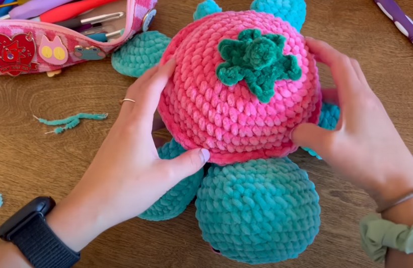 Crochet Strawberry Turtle