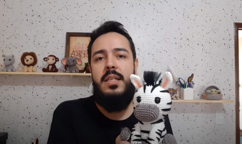 Deu Zebra No Safari