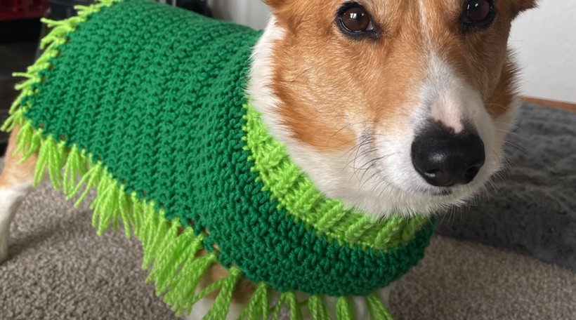 Easy How To Crochet A Dog Sweater