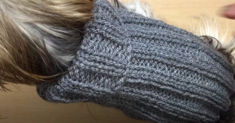 Small Dog Sweater
