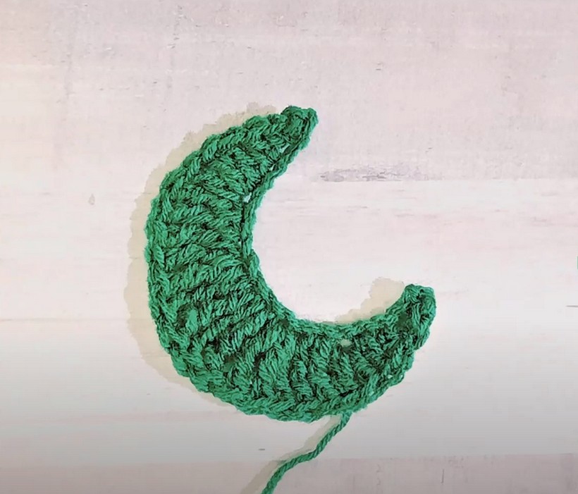 Crochet Moon Applique