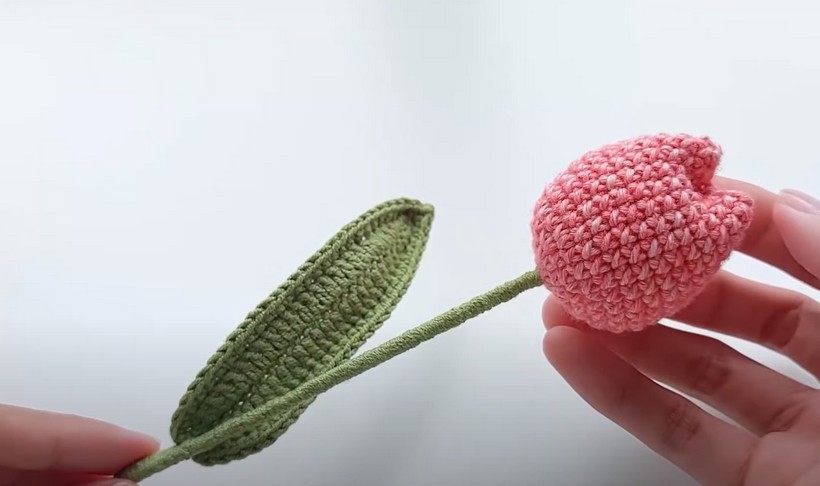 Crochet Tulip Flowers