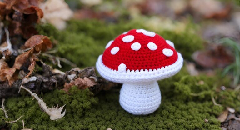 18 Free Crochet Mushroom Patterns For Plays, Cozies & Decors!