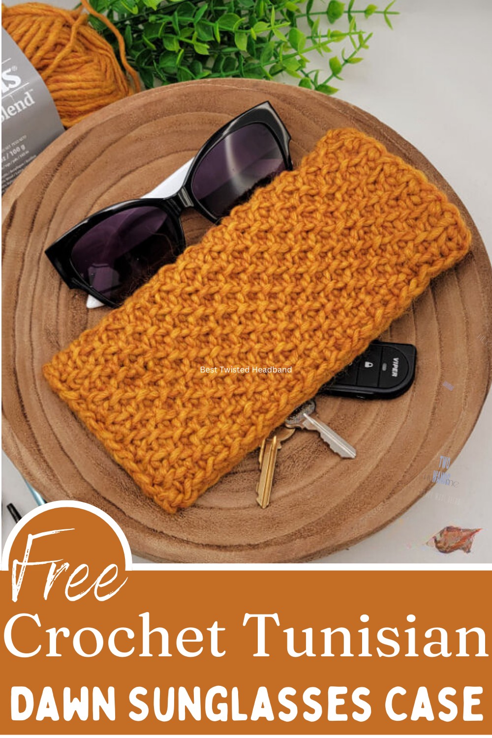 Tunisian Crochet Sunglasses Case