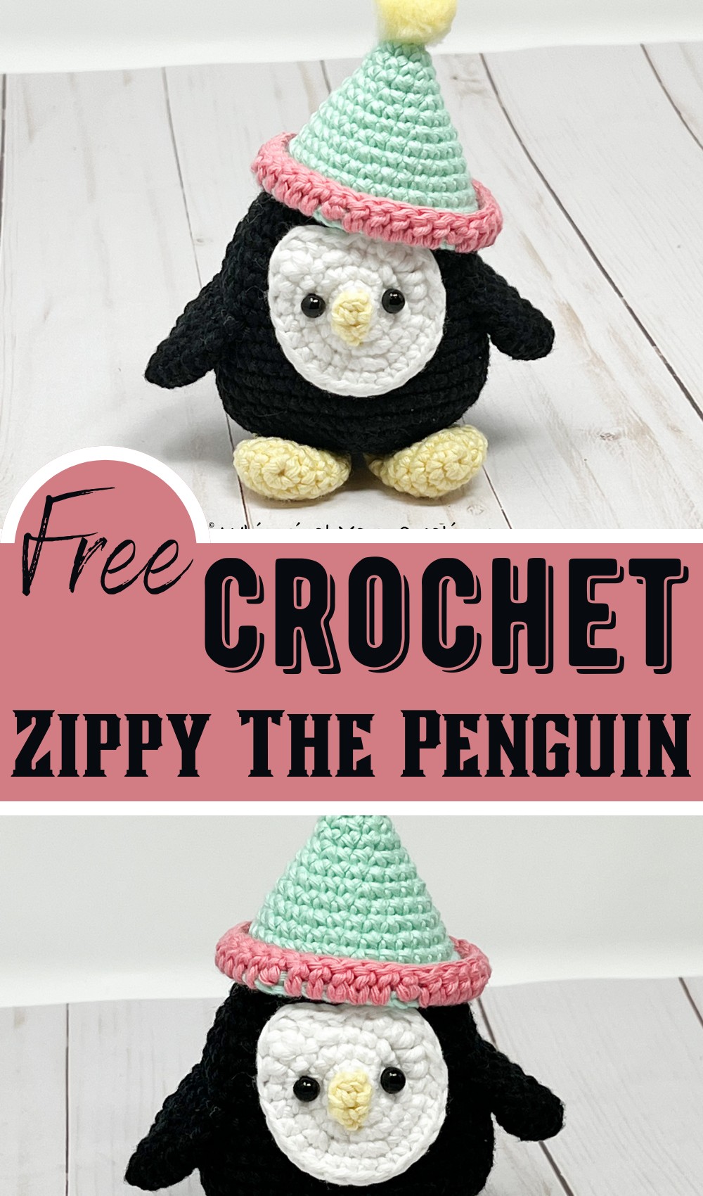 Zippy The Penguin