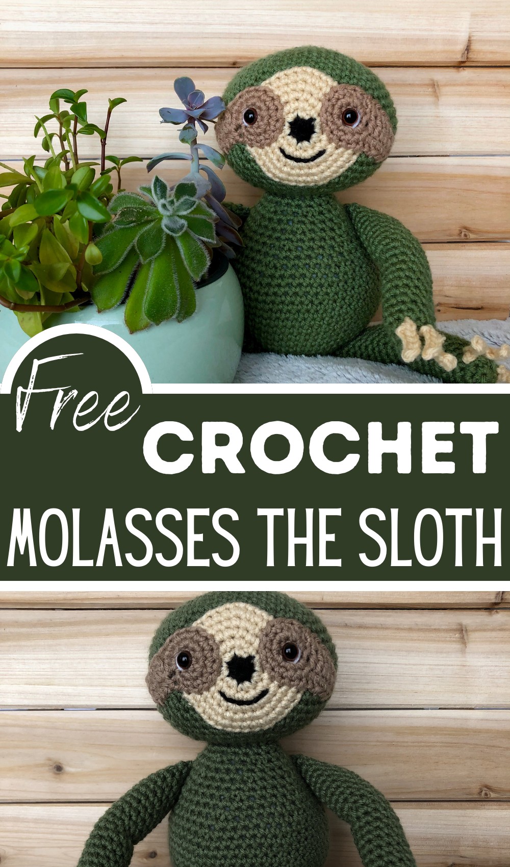 Molasses The Sloth
