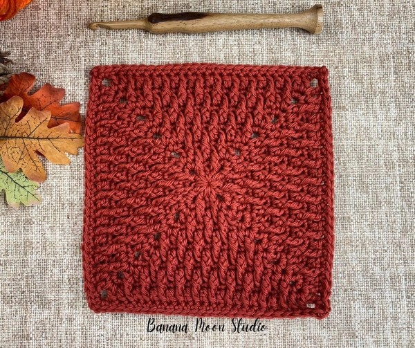 Free Alpine Stitch Crochet Blanket Square