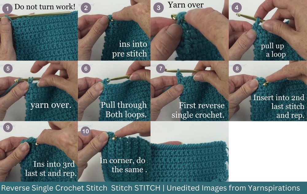 Reverse Single Crochet Stitch Step-by-Step Pictures and Instructions
