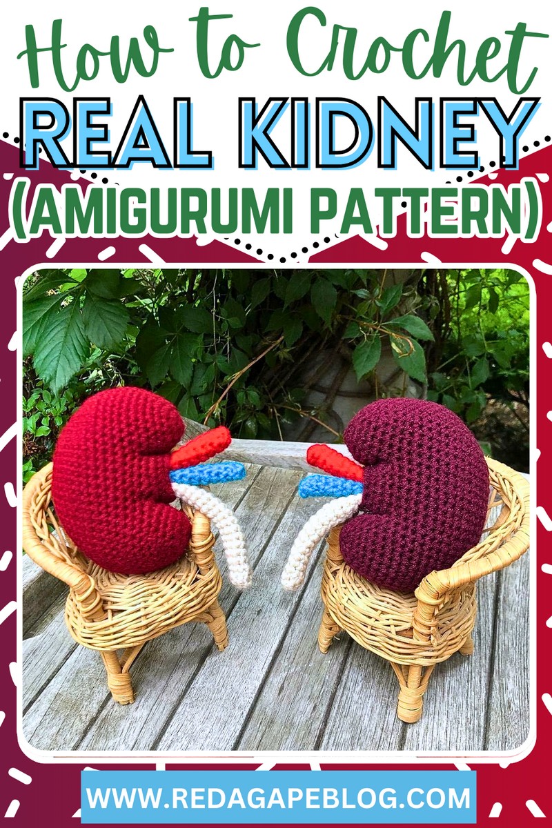 crochet real kidney amigurumi