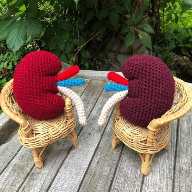 How to Crochet Kidney (Free Pattern For Beginners)