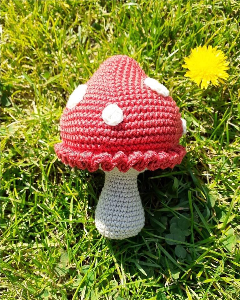 Free Crochet Mushroom Amigurumi Pattern For Beginners