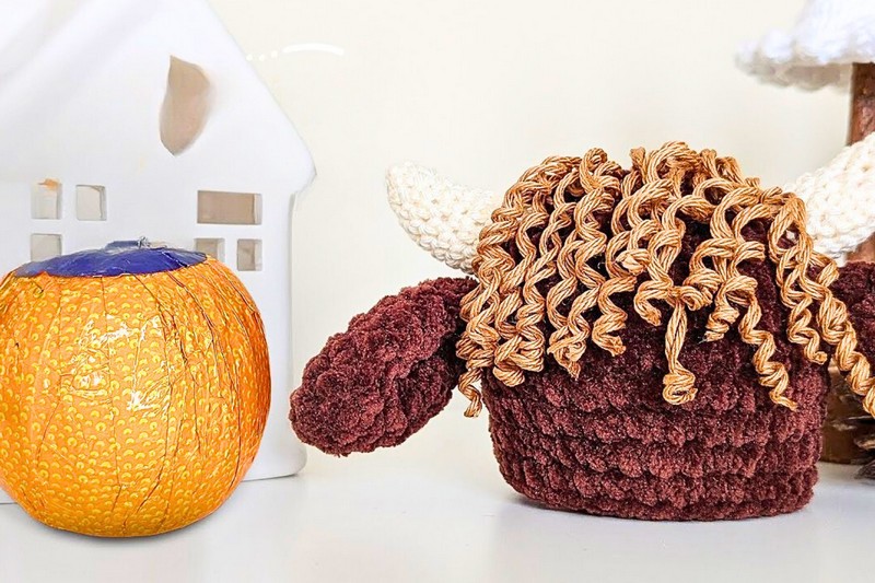 Highland Cow Chocolate Orange Cover