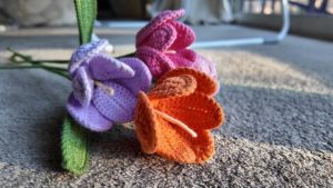 Bouquet Tulip Flower