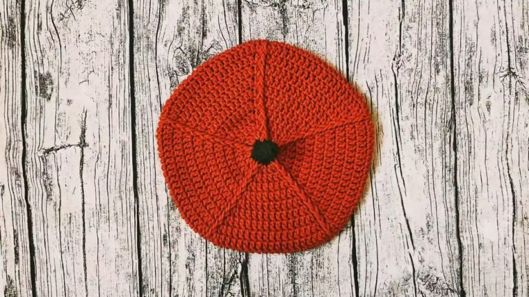 Easy & Free Crochet Pumpkin Beret Hat Pattern for Beginners