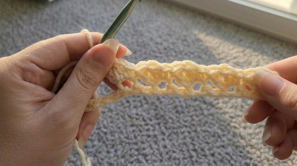 Easy Crochet Blanket Crochet Beginner Blanket 4