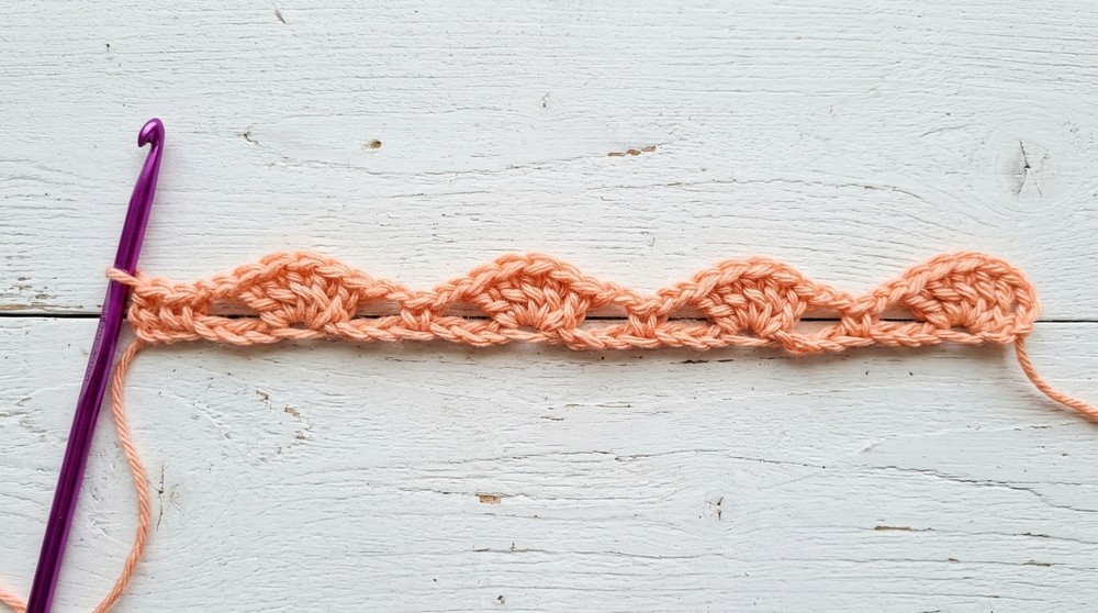 How to Crochet a Roses Lace Poncho 4