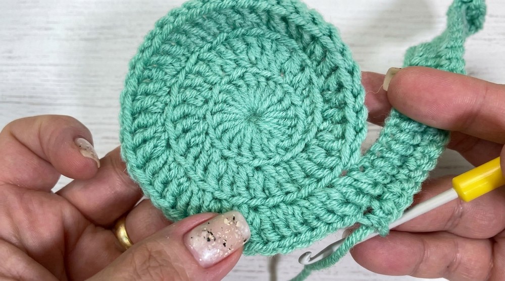 Irish Lace. Snail 6