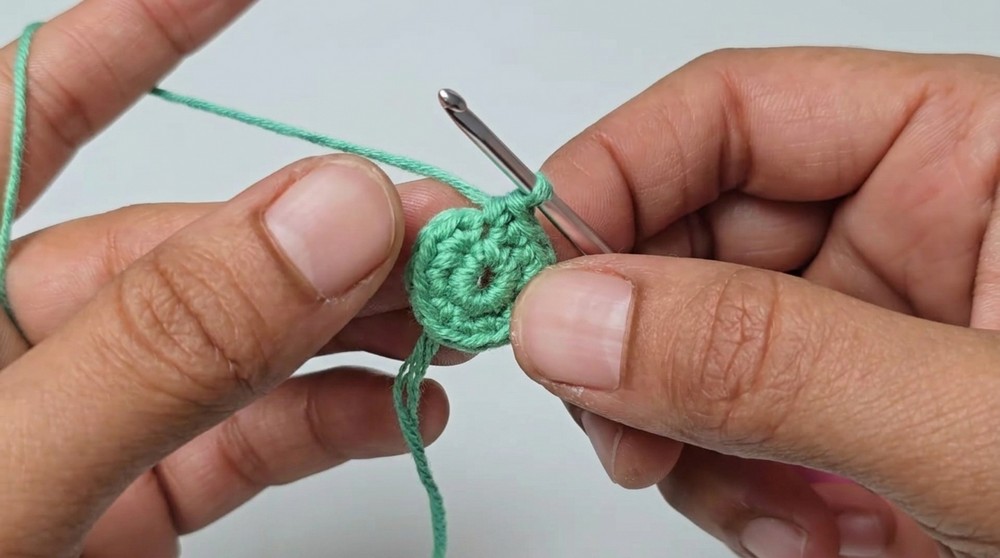Crochet Carnation Bouquet Perfect DIY Gift for Flower Lovers! 3