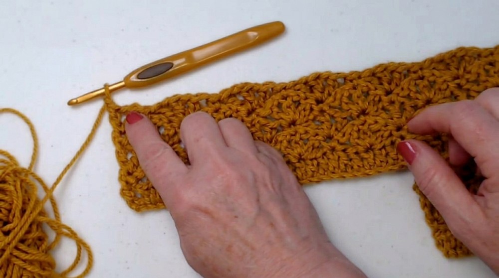 Learn To Crochet The Spring Shells Baby Blanket Crochet Pattern 5