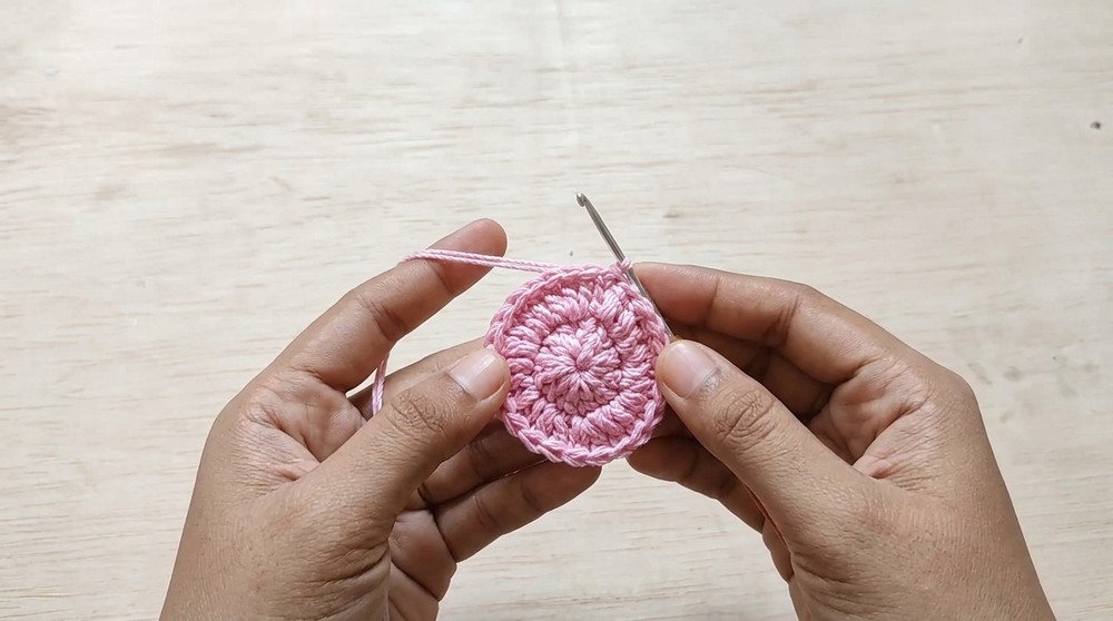 Crochet Decorative Shell Bag