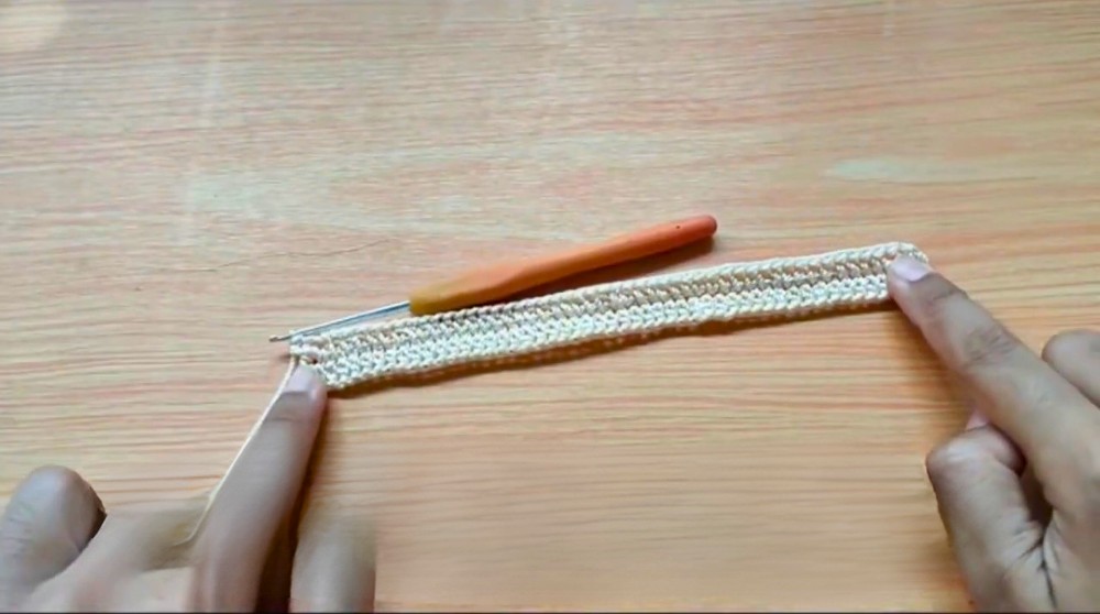 Crochet Shell Stitch Bag