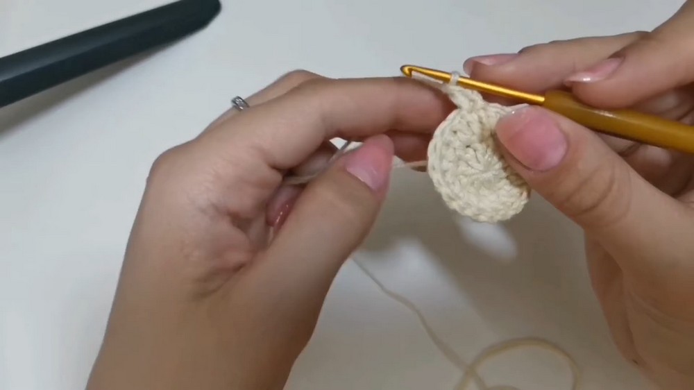 How To Crochet Apple-shaped Cup Holder 4