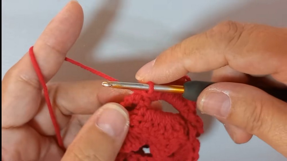 How To Crochet Rose Bag 4