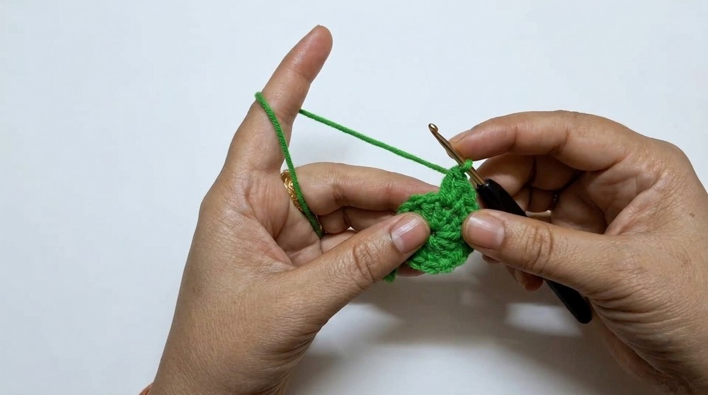Crochet Turtle Coaster Pattern 1