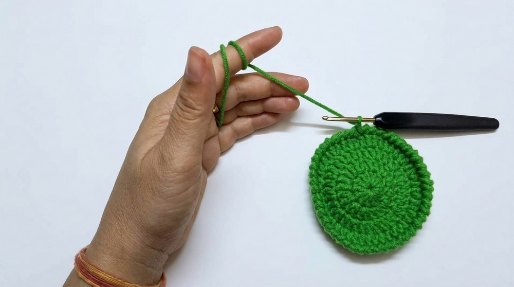 Crochet Turtle Coaster Pattern 2